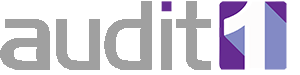 Audit1